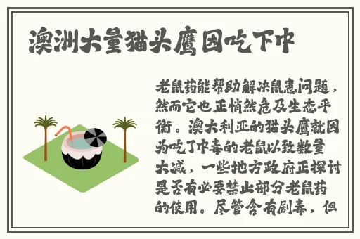 成都4片p完整版视频